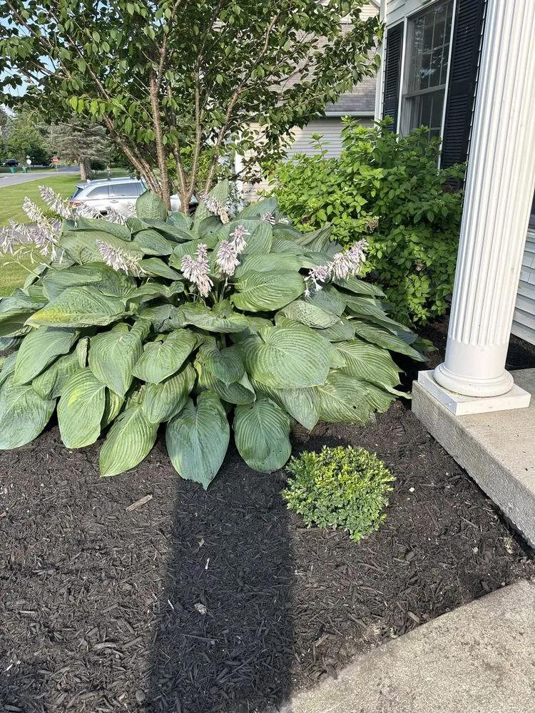 Top-rated landscaping services in Macedon, NY - Brookes Enterprise