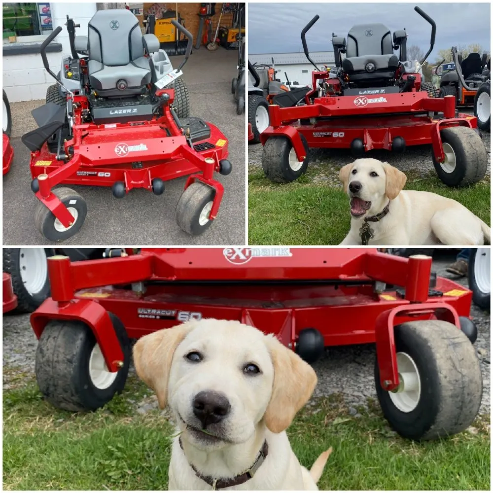 Custom yard cleanup service with custom design in Macedon, NY by Brookes Enterprise