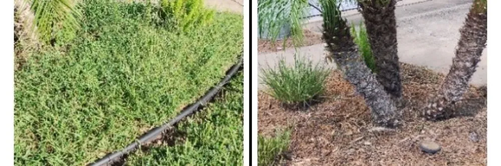 Expert residential landscaping in Ormond Beach, FL - Brookes Flower Bed Service and Maintenance