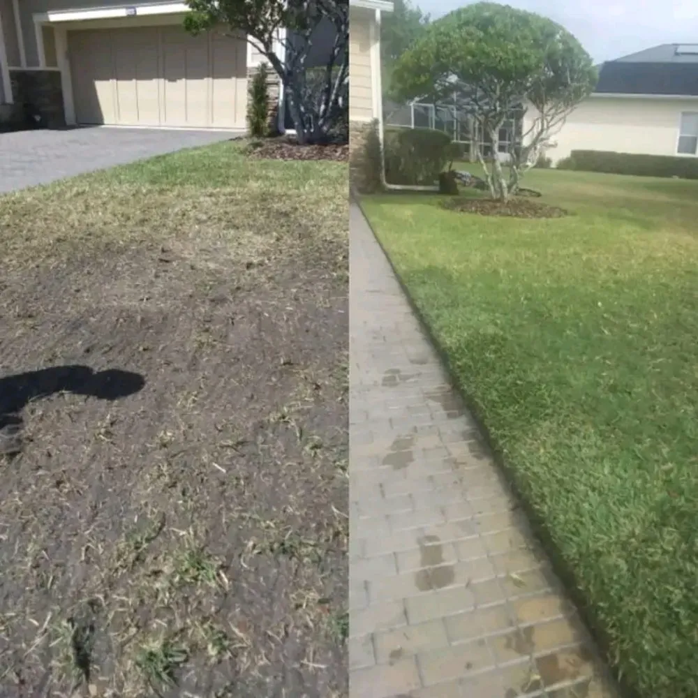 Affordable landscape installation in Ormond Beach, FL - Brookes Flower Bed Service and Maintenance