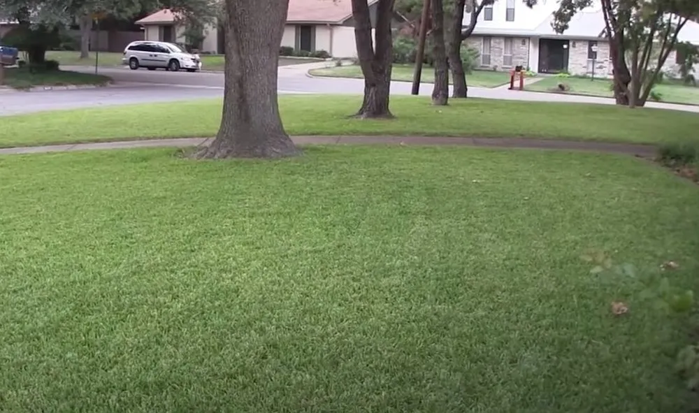 Custom residential landscaping near you across Brookfield, WI - Brookfield Lawn Care & Turf Experts