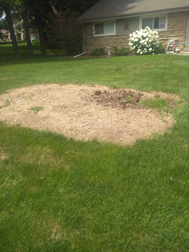 Top-rated yard cleanup service experts serving Brookfield, WI - Brookfield Property Management