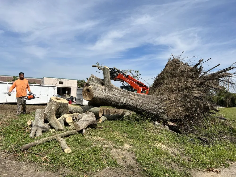 Professional lawn care service experts serving Kenner, LA - Brookfield Services