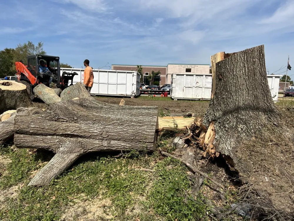 Affordable outdoor landscaping near you across Kenner, LA - Brookfield Services