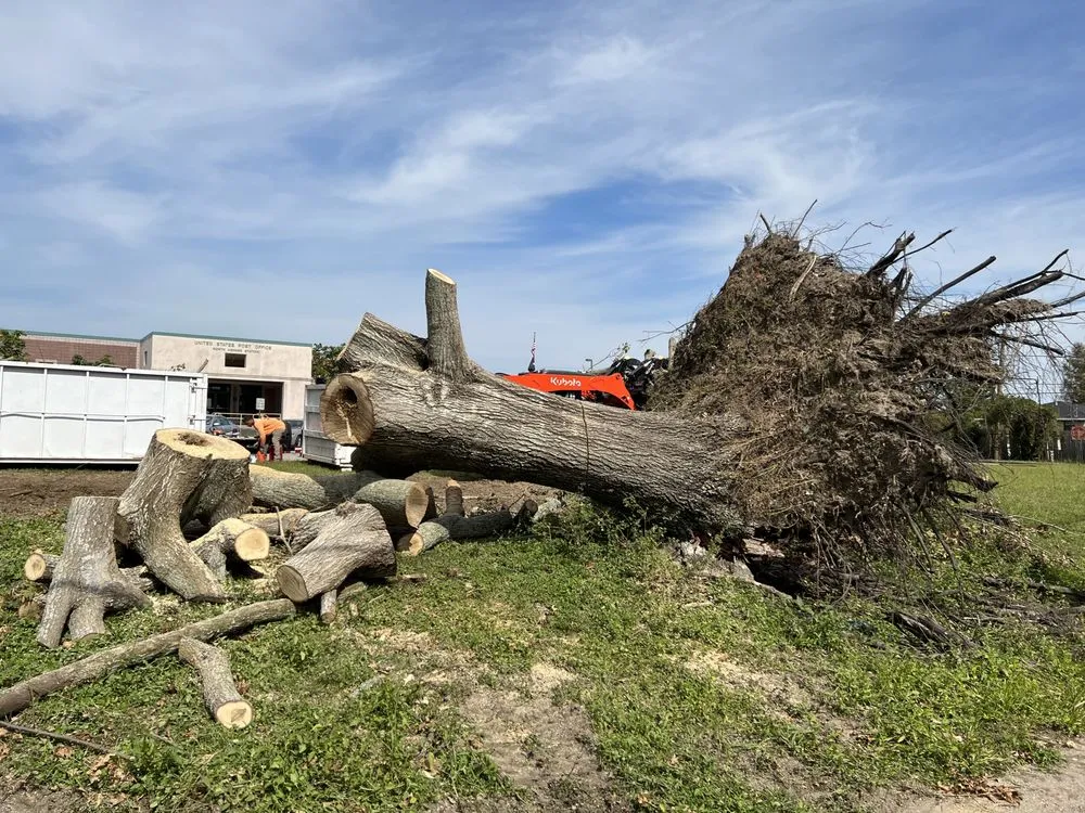 Top-rated residential landscaping with custom design in Kenner, LA by Brookfield Services