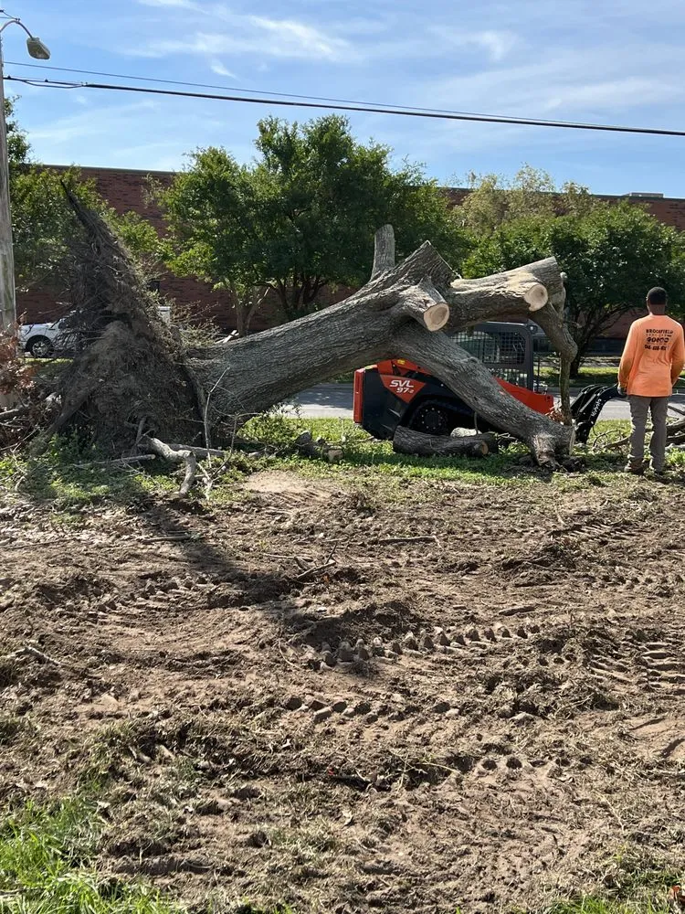 Custom yard maintenance in Kenner, LA by Brookfield Services