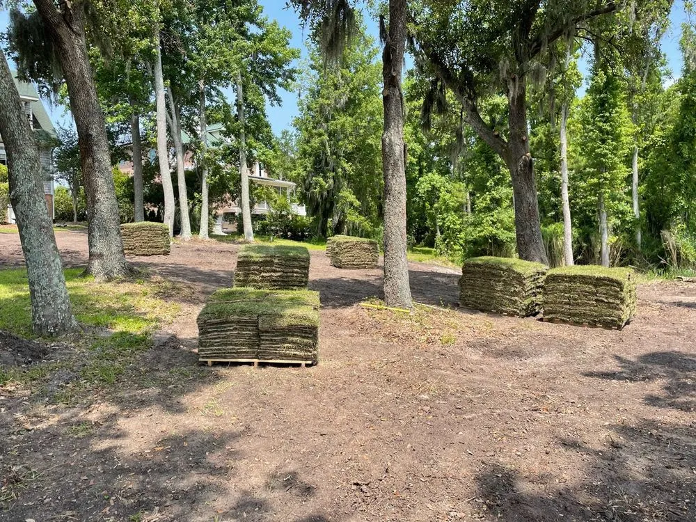 Local landscaping services near you in Doswell, VA by Brookmeade Sod Farm