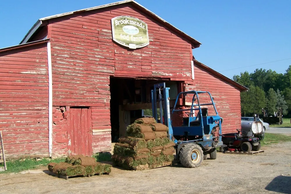 Expert outdoor landscaping for homes across Doswell, VA - Brookmeade Sod Farm