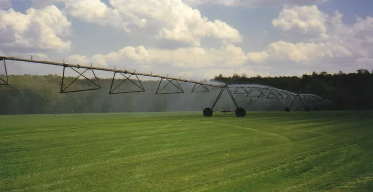 Professional lawn care service experts serving Doswell, VA - Brookmeade Sod Farm
