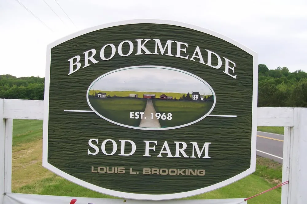Affordable lawn mowing service experts serving Doswell, VA - Brookmeade Sod Farm
