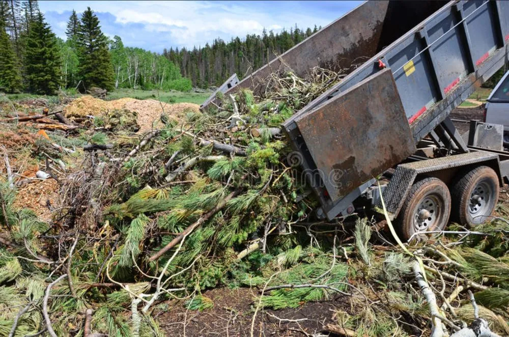 Professional outdoor landscaping for homes in Zephyrhills, FL by Brooks A1 Lawn and Tree Service