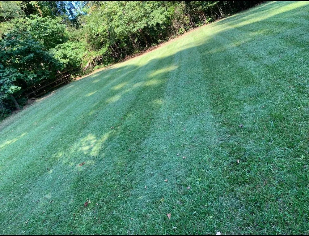 Reliable landscape installation with custom design in Kannapolis, NC by Brooks Bros Landscaping