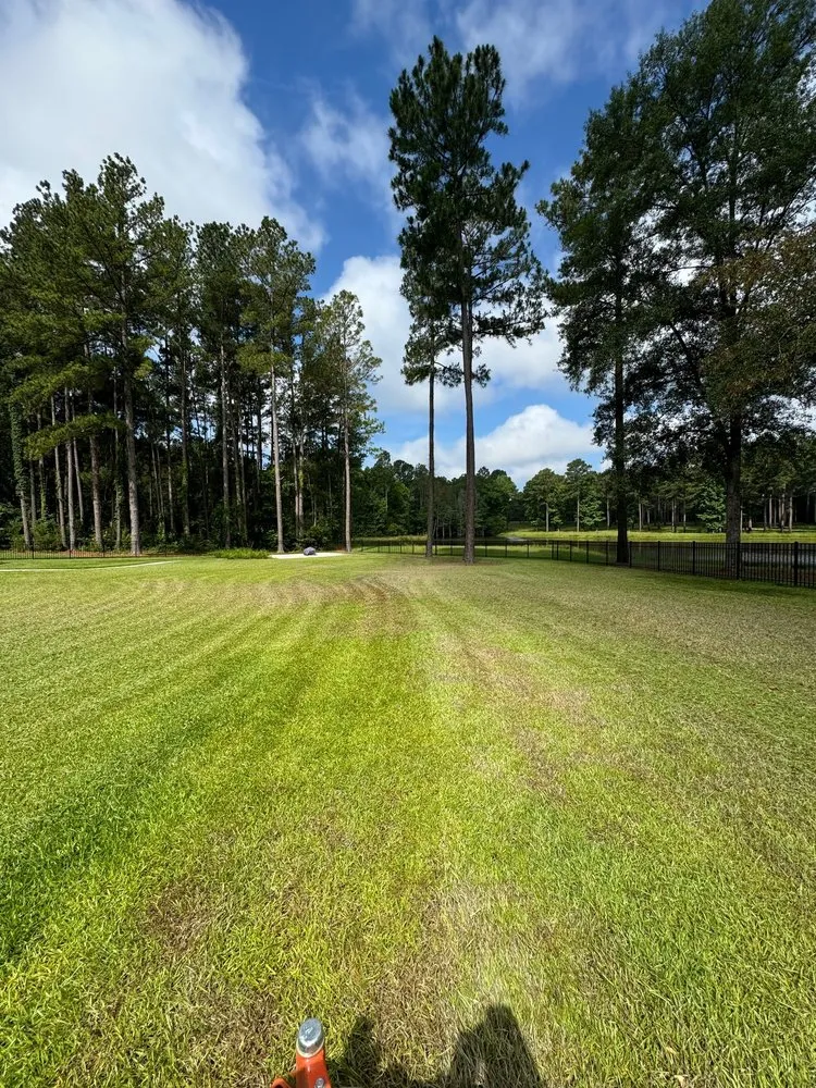 Expert yard maintenance in Statesboro, GA by Brooks Land & Timber