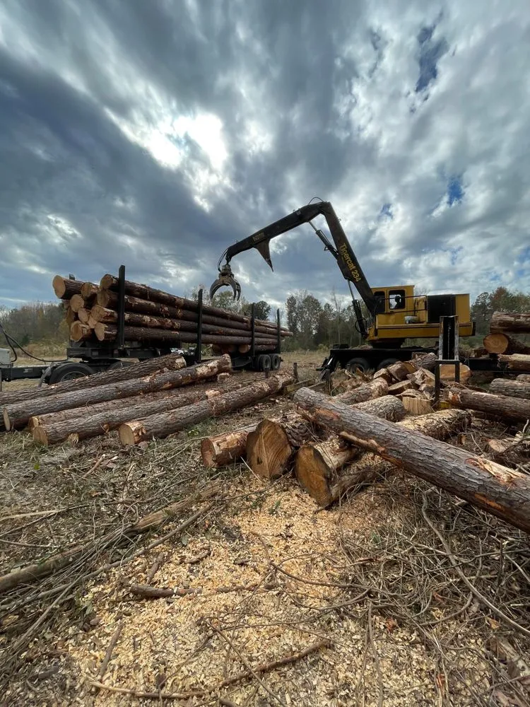Affordable outdoor landscaping experts serving Statesboro, GA - Brooks Land & Timber