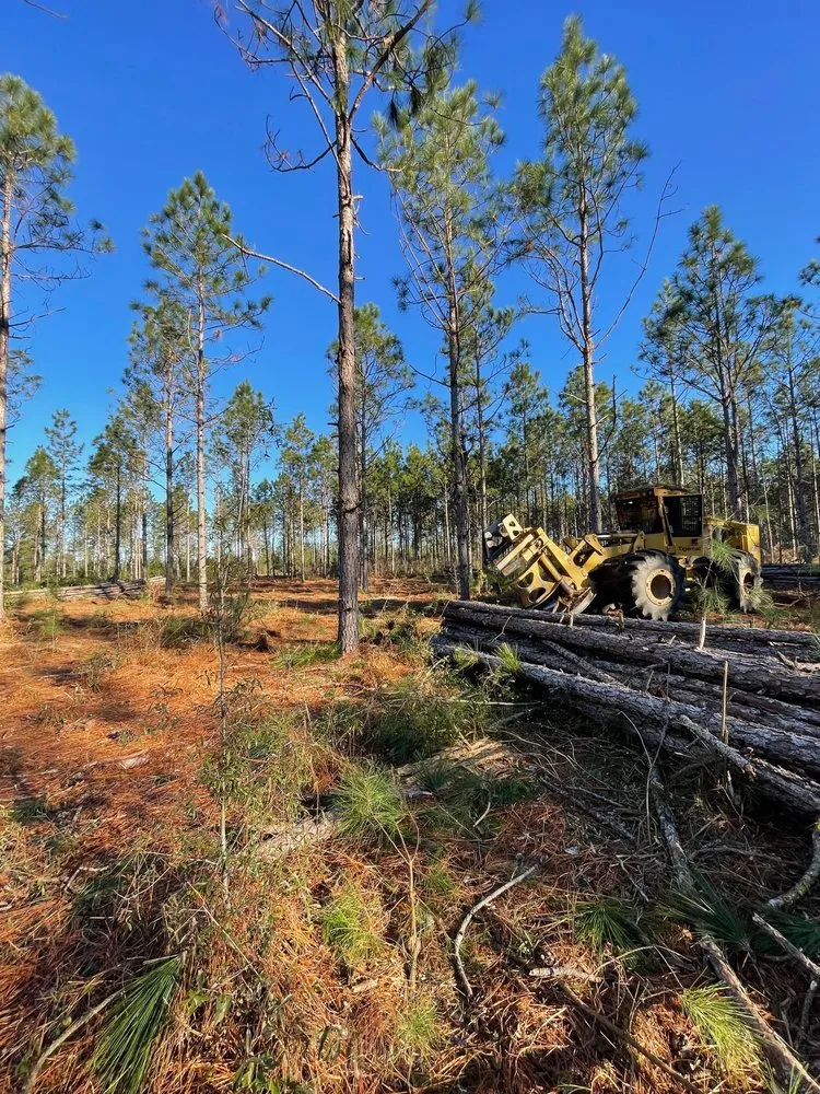 Reliable outdoor landscaping in Statesboro, GA - Brooks Land & Timber