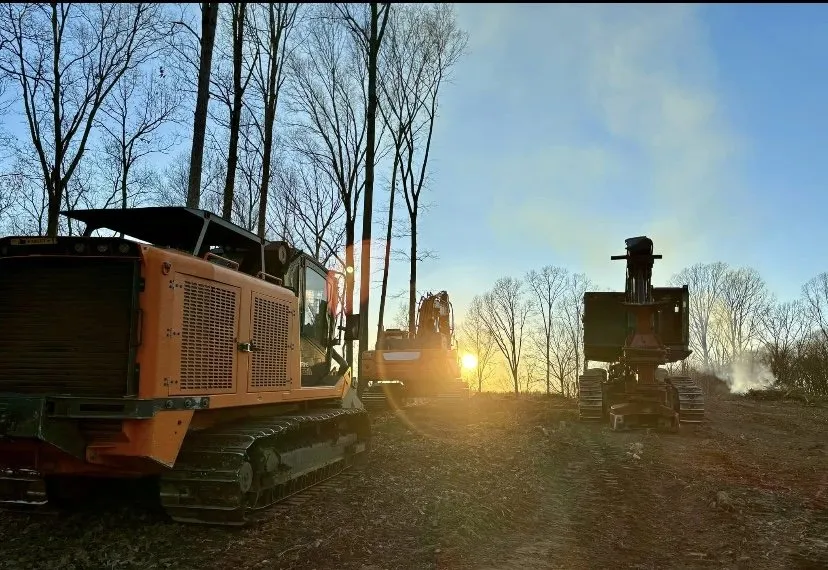 Top-rated yard cleanup service in Cedar Hill, TN by Brooks Land Management