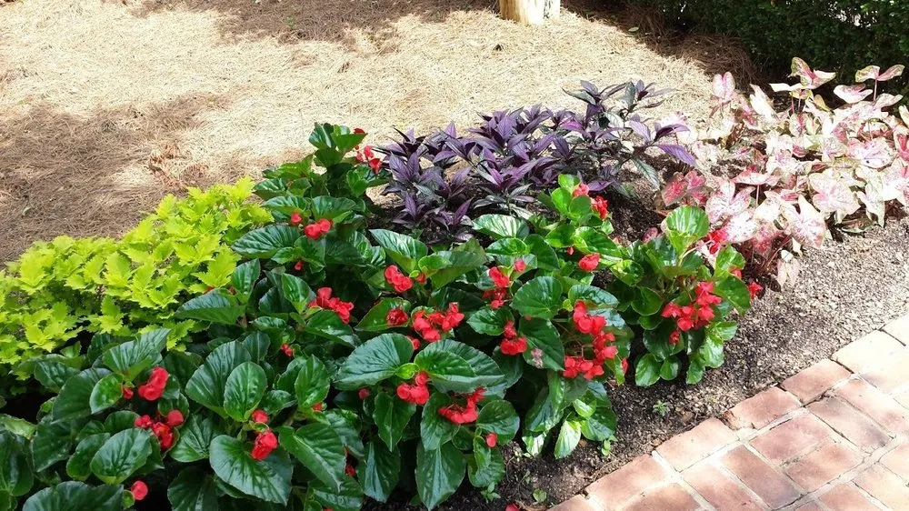 Affordable landscape installation for homes across McDonough, GA - Brooks Landscaping & Lawn Maintenance