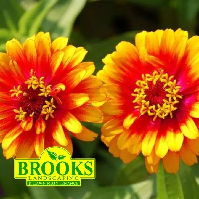 Reliable landscape design experts serving McDonough, GA - Brooks Landscaping & Lawn Maintenance