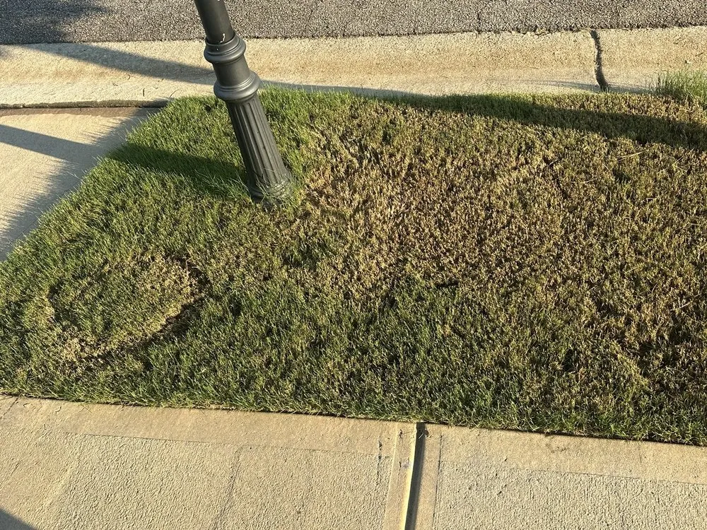 Affordable landscape installation in McDonough, GA - Brooks Landscaping & Lawn Maintenance