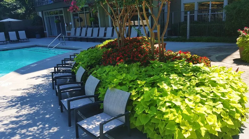 Trusted residential landscaping in McDonough, GA by Brooks Landscaping & Lawn Maintenance