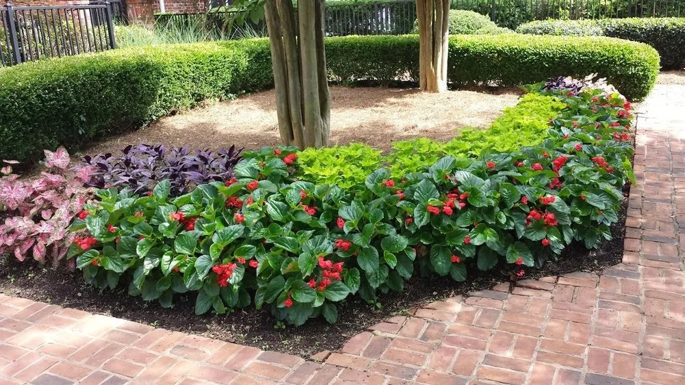 Top-rated landscape installation experts serving McDonough, GA - Brooks Landscaping & Lawn Maintenance