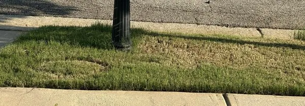 Brooks Landscaping & Lawn Maintenance