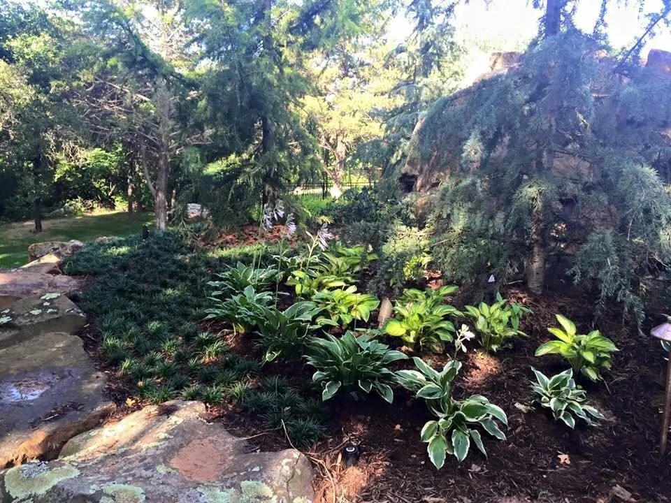 Affordable lawn care service for beautiful yards across Oklahoma City, OK - Brooks Landscaping and Pools