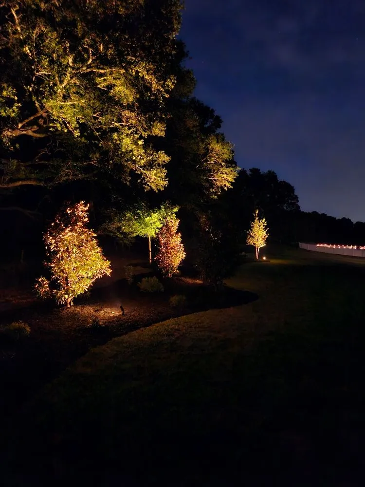 Top-rated lawn care service in Belton, SC - Brooks Landscaping