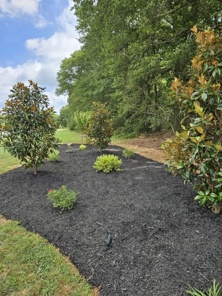 Expert landscape installation in Belton, SC - Brooks Landscaping