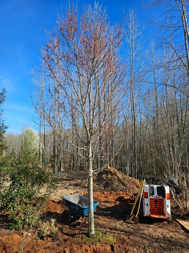 Custom lawn mowing service for homes in Belton, SC by Brooks Landscaping