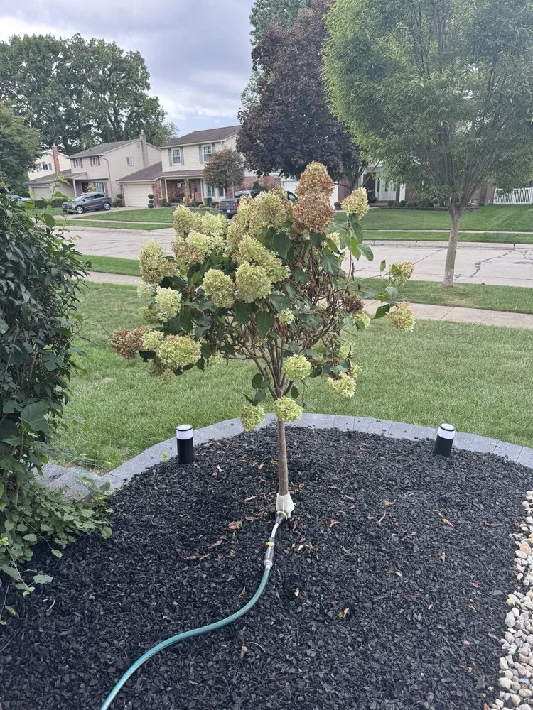 Trusted landscape installation in Flat Rock, MI - Brooks Landscaping