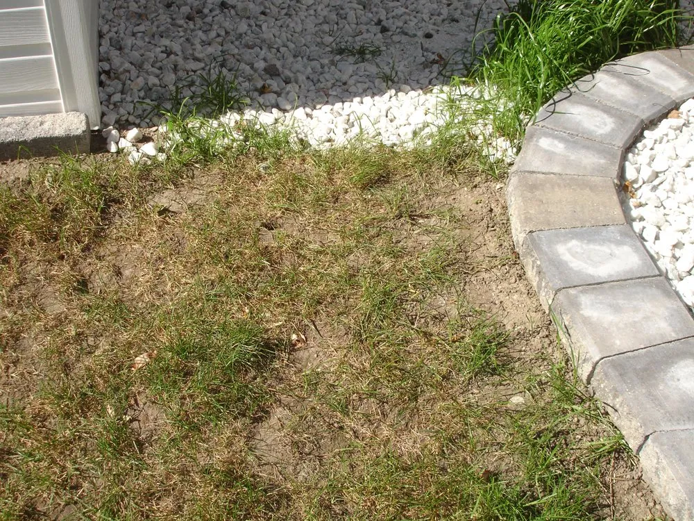 Local yard maintenance in Flat Rock, MI by Brooks Landscaping