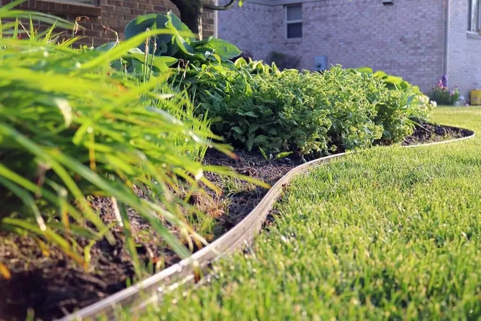 Top-rated yard cleanup service near you in Flat Rock, MI by Brooks Landscaping