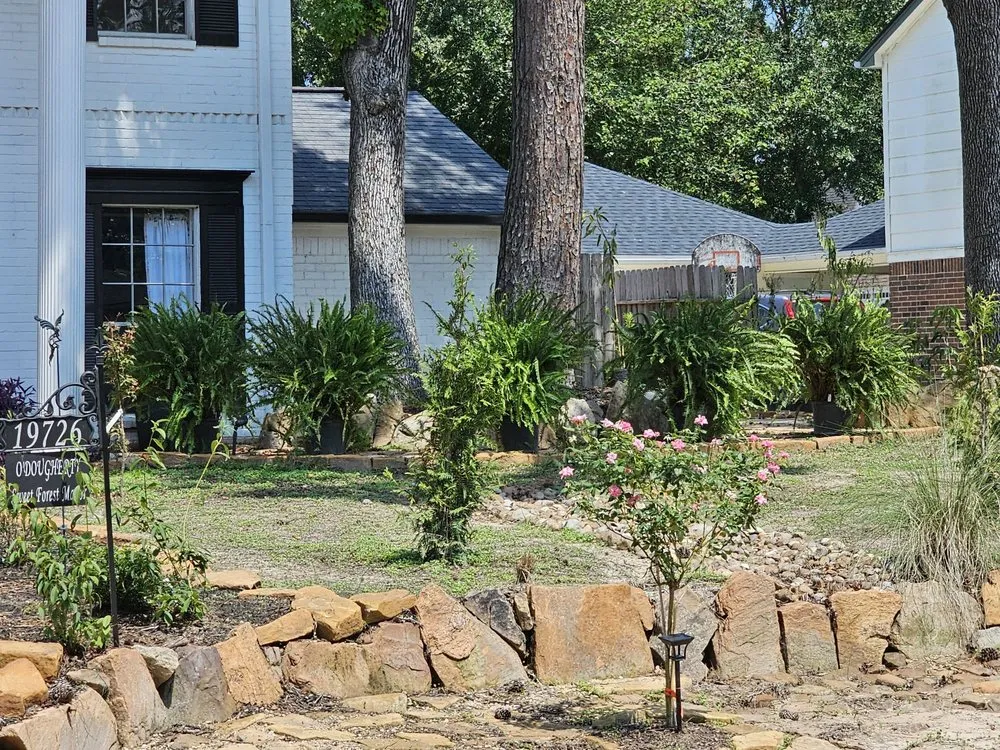 Expert yard maintenance for year-round maintenance in Katy, TX by Brooks Landscaping