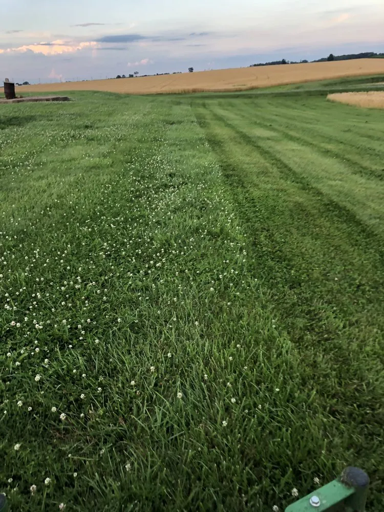 Reliable yard maintenance for homes in Kennedyville, MD by Brooks Lawn Care
