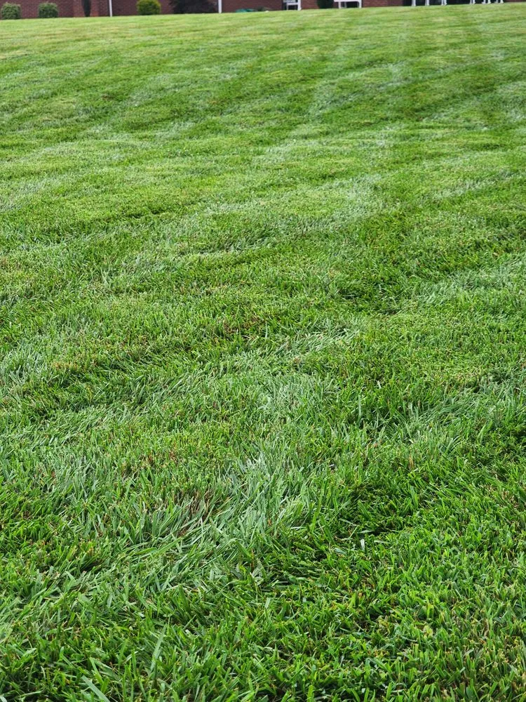 Expert landscape design for homes in Lincolnton, NC by Brooks Lawncare