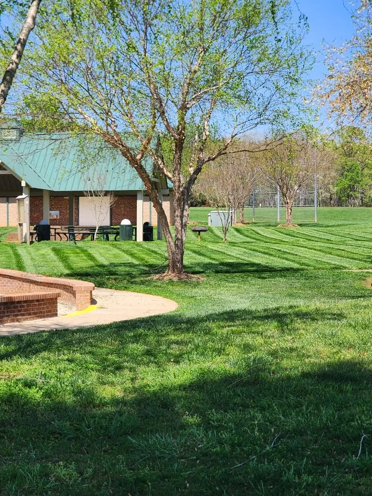 Expert lawn care service for beautiful yards across Lincolnton, NC - Brooks Lawncare