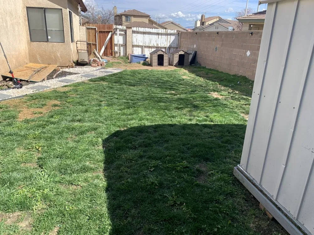Trusted outdoor landscaping in Victorville, CA - Brooks Lawncare