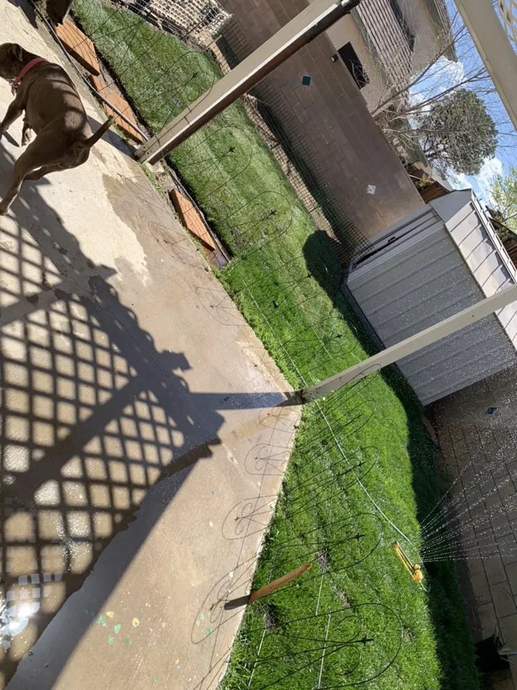 Affordable outdoor landscaping for homes in Victorville, CA by Brooks Lawncare