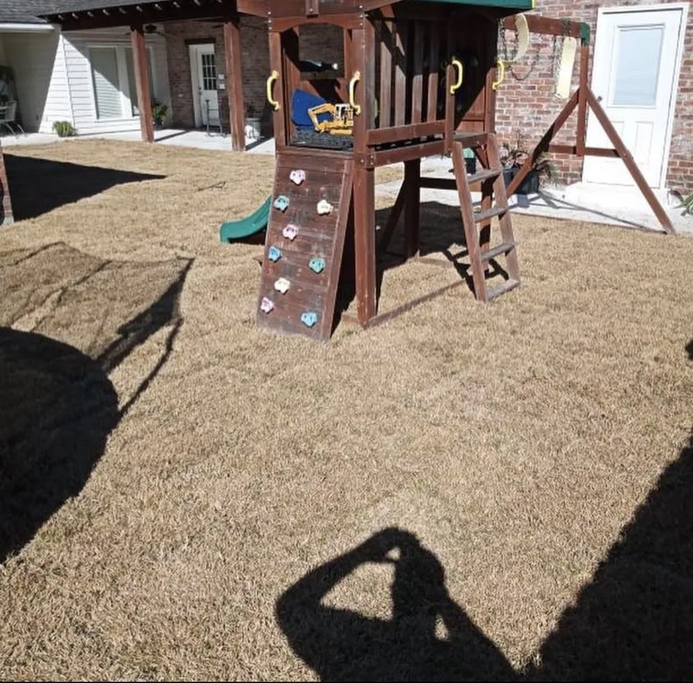 Professional garden landscaping experts serving Pflugerville, TX - Brooks Luxury Landscaping