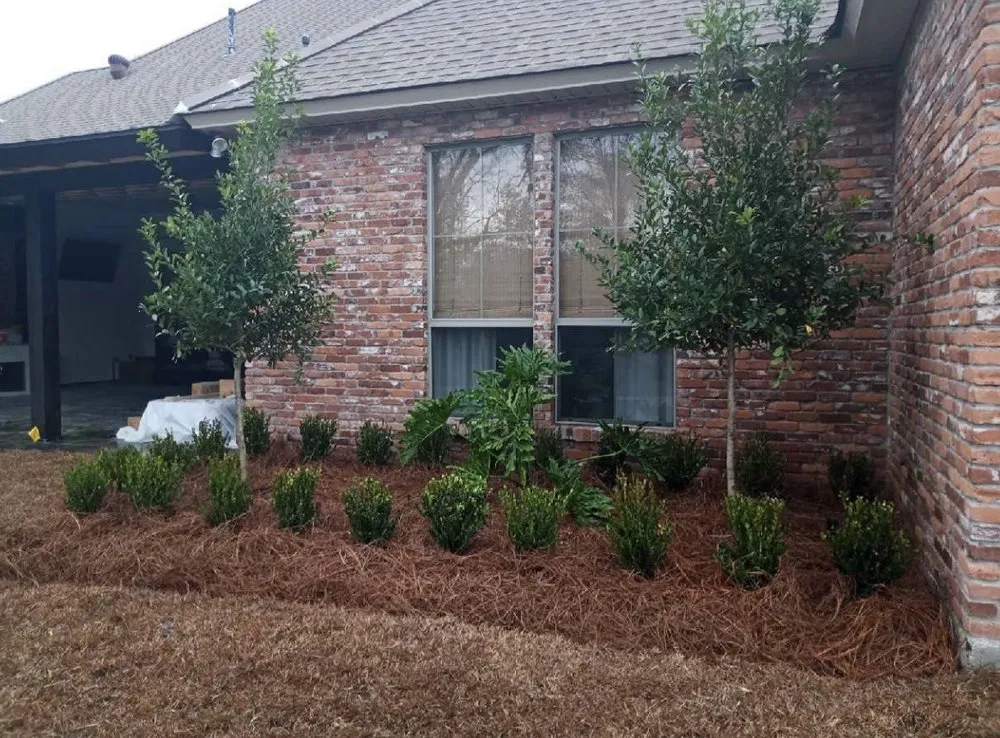 Trusted garden landscaping experts serving Pflugerville, TX - Brooks Luxury Landscaping