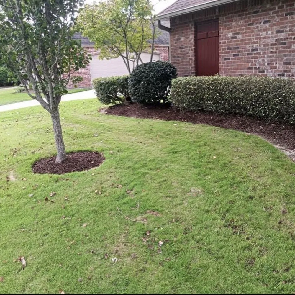 Top-rated landscaping services for beautiful yards in Pflugerville, TX by Brooks Luxury Landscaping
