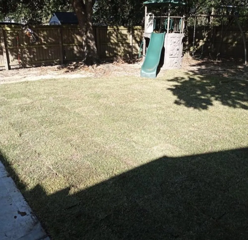 Custom yard maintenance in Pflugerville, TX - Brooks Luxury Landscaping