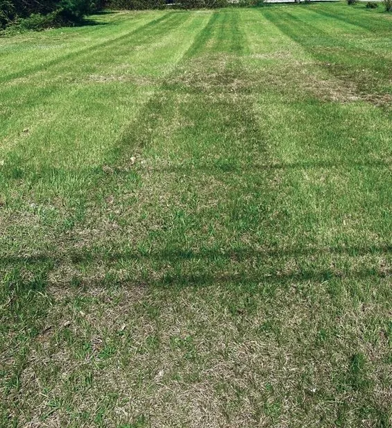 Expert yard cleanup service in Claremont, NH - Brooks Property Improvements