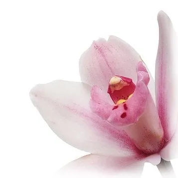 Professional outdoor landscaping in Sheboygan, WI - Brook's