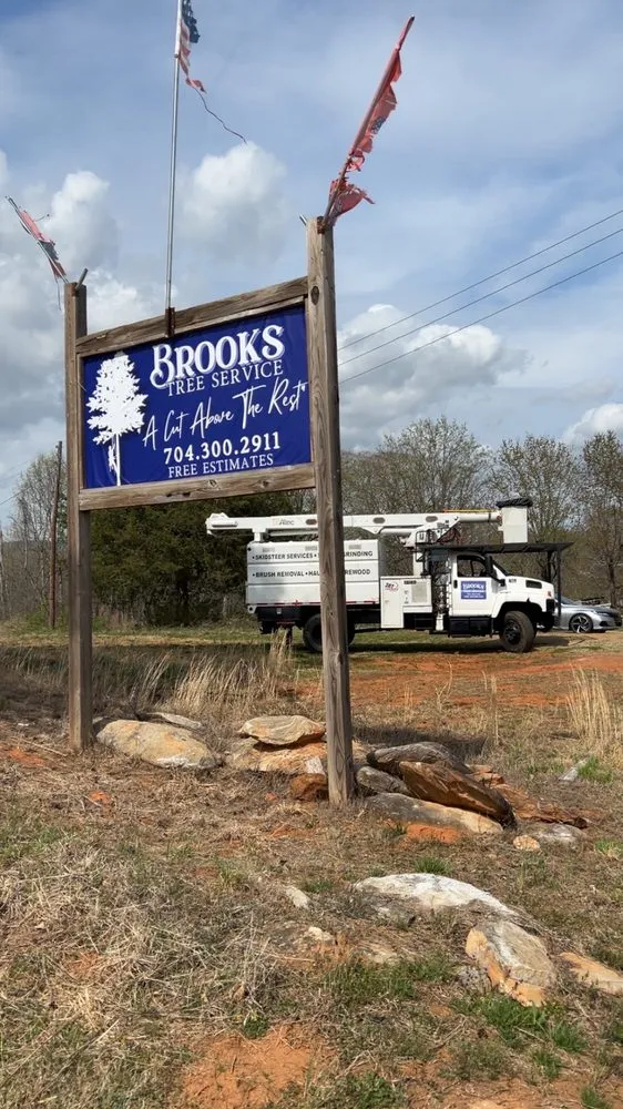 Local lawn care service for year-round maintenance in Casar, NC by Brooks Tree Service