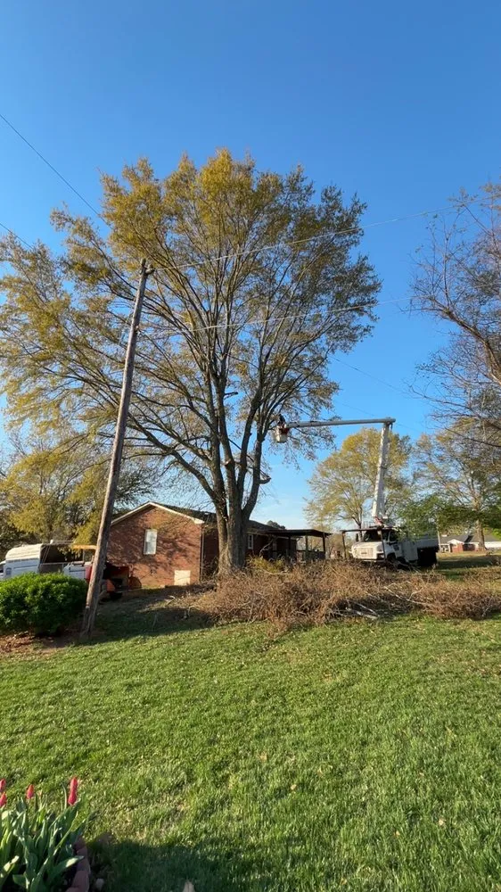 Local yard maintenance in Casar, NC by Brooks Tree Service