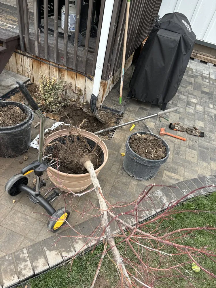 Top-rated residential landscaping in Roy, UT by Brookscapes Landscaping