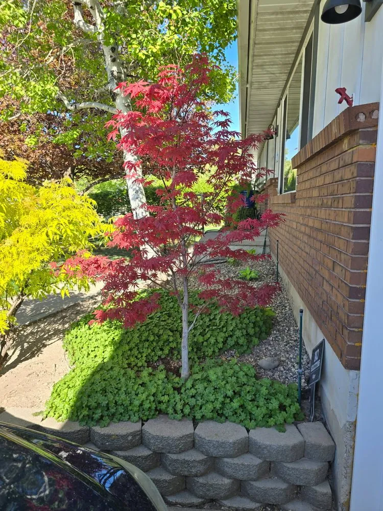 Affordable garden landscaping for beautiful yards in Roy, UT by Brookscapes Landscaping