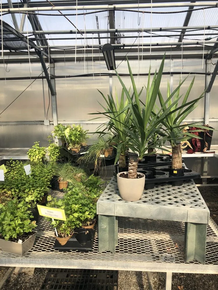 Professional yard cleanup service with custom design in Ballston Spa, NY by Brookside Farms Nursery